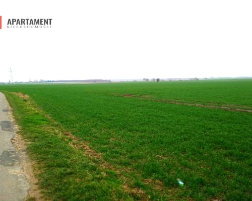 Atrakcyjne działki w Podgórzynie koło Żnina