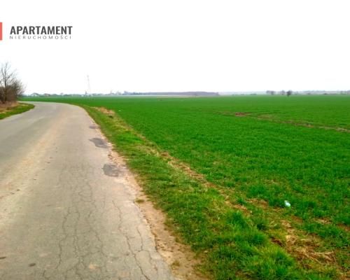 Atrakcyjne działki w Podgórzynie koło Żnina