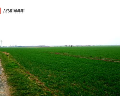 Atrakcyjne działki w Podgórzynie koło Żnina