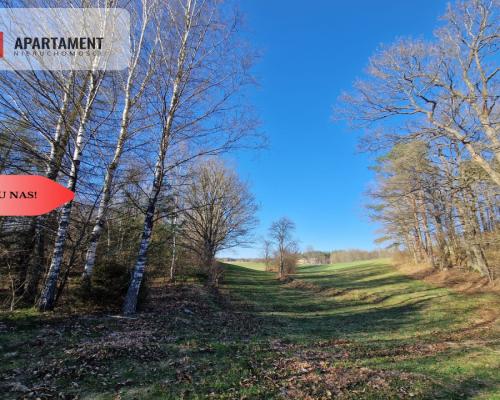 Działka siedliskowa 2 ha w Skorzewie