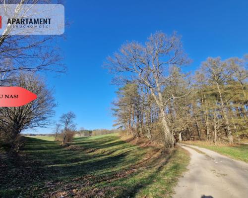 Działka siedliskowa 2 ha w Skorzewie