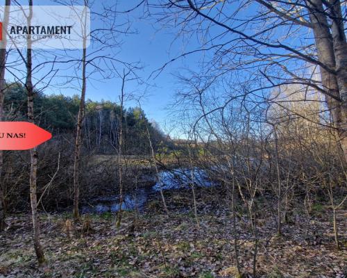 Działka siedliskowa 2 ha w Skorzewie