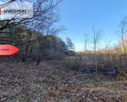 Działka siedliskowa 2 ha w Skorzewie