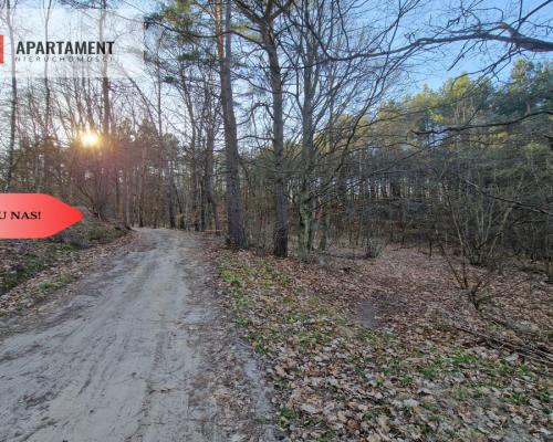 Działka siedliskowa 2 ha w Skorzewie