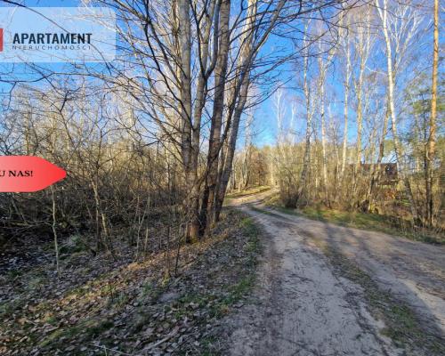 Działka siedliskowa 2 ha w Skorzewie