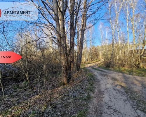 Działka siedliskowa 2 ha w Skorzewie