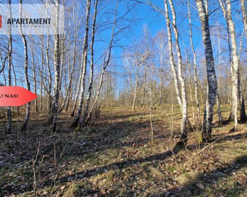 Działka siedliskowa 2 ha w Skorzewie