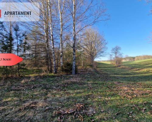 Działka siedliskowa 2 ha w Skorzewie