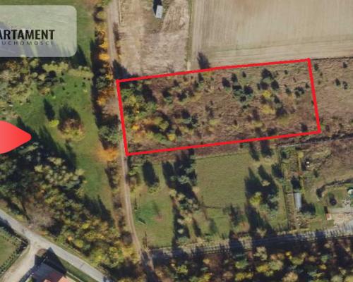 MORZEWIEC 3260m2, WYDANE WZ, CISZA, SPOKÓJ