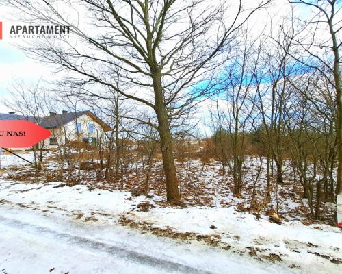 MORZEWIEC 3260m2, WYDANE WZ, CISZA, SPOKÓJ