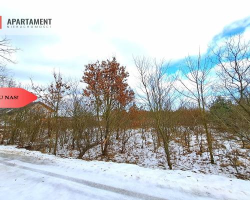 MORZEWIEC 3260m2, WYDANE WZ, CISZA, SPOKÓJ