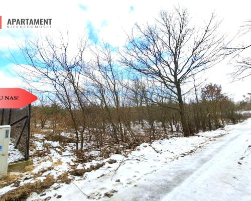 MORZEWIEC 3260m2, WYDANE WZ, CISZA, SPOKÓJ