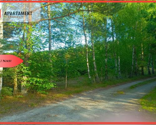 TYLKO U NAS !!! UTULONA CISZĄ W SERCU BORÓW