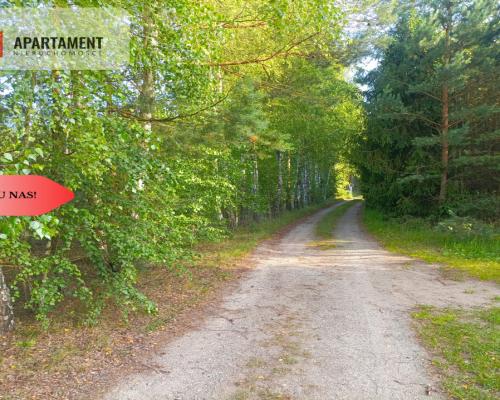 TYLKO U NAS !!! UTULONA CISZĄ W SERCU BORÓW