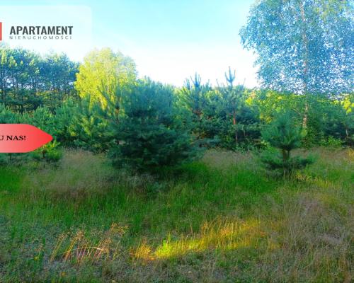 TYLKO U NAS !!! UTULONA CISZĄ W SERCU BORÓW