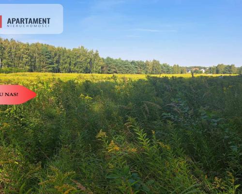 1222 m2 z widokiem na las!
