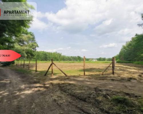 1222 m2 z widokiem na las!
