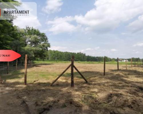 1222 m2 z widokiem na las!