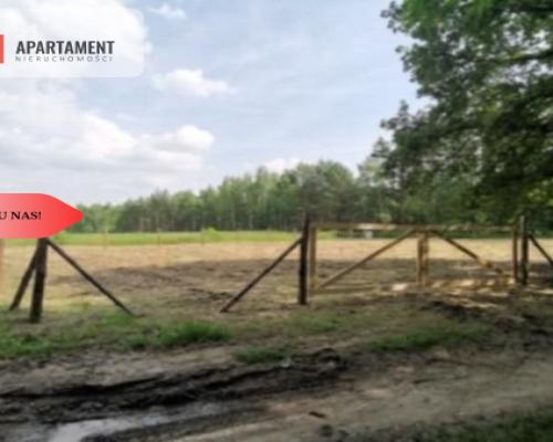 1222 m2 z widokiem na las!