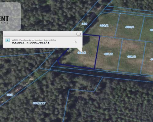 1222 m2 z widokiem na las!