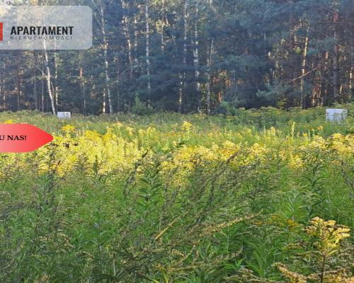 1222 m2 z widokiem na las!
