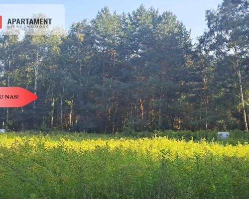 1222 m2 z widokiem na las!
