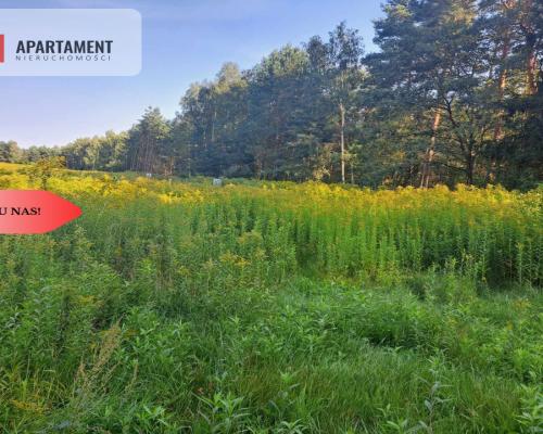 1222 m2 z widokiem na las!