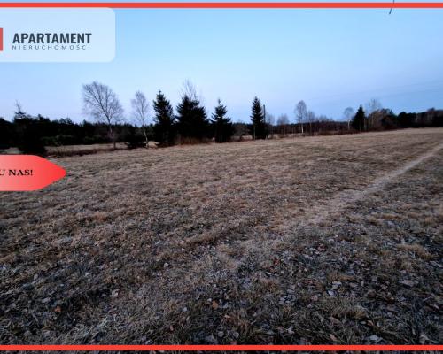 Spokojna okolica, blisko lasu!