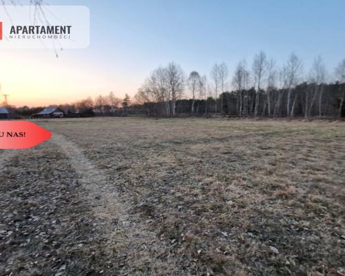 Spokojna okolica, blisko lasu!