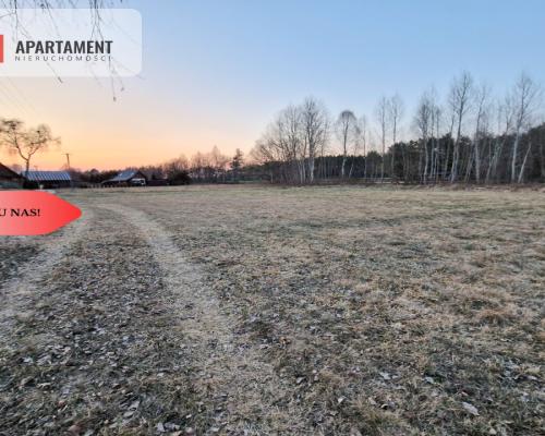 Spokojna okolica, blisko lasu!