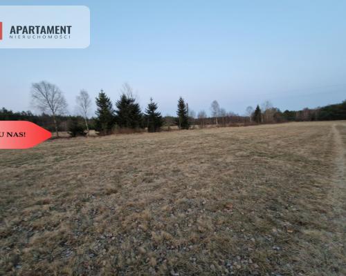 Spokojna okolica, blisko lasu!