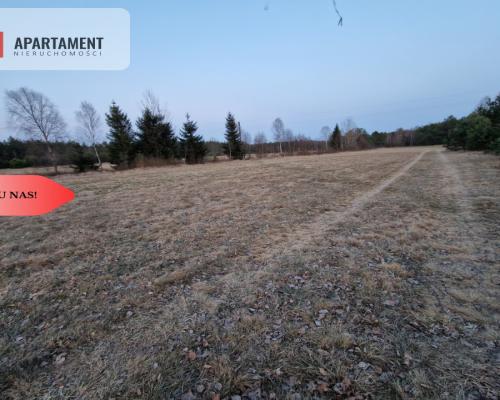 Spokojna okolica, blisko lasu!