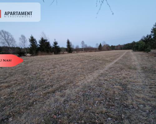 Spokojna okolica, blisko lasu!