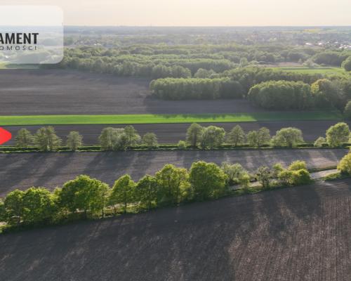 Duża Eko działka przy rzece i lesie