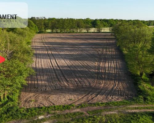 Duża Eko działka przy rzece i lesie