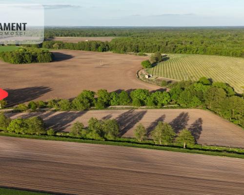 Duża Eko działka przy rzece i lesie