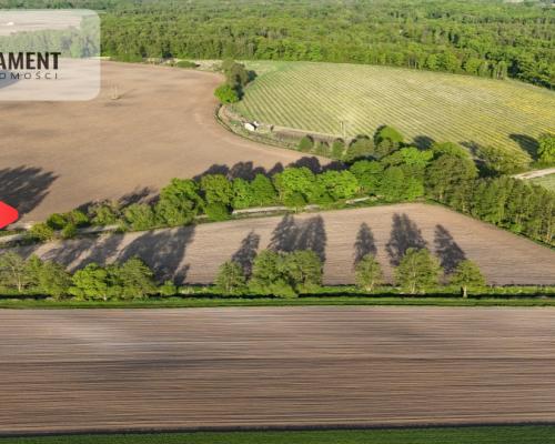 Duża Eko działka przy rzece i lesie