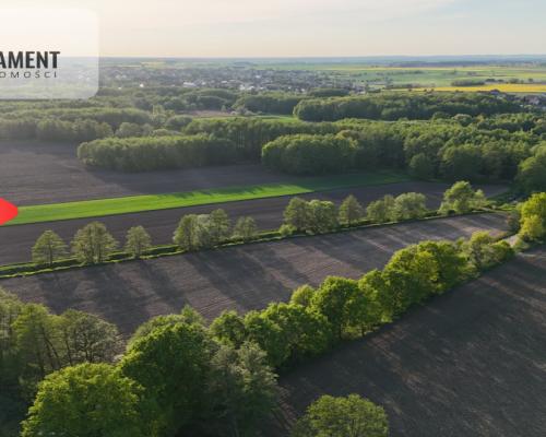 Duża Eko działka przy rzece i lesie