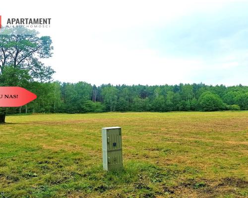 TYLKO U NAS - PAWŁÓWEK 1,8ha LAS CISZA SPOKÓJ