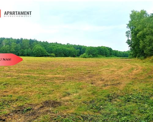 TYLKO U NAS - PAWŁÓWEK 1,8ha LAS CISZA SPOKÓJ