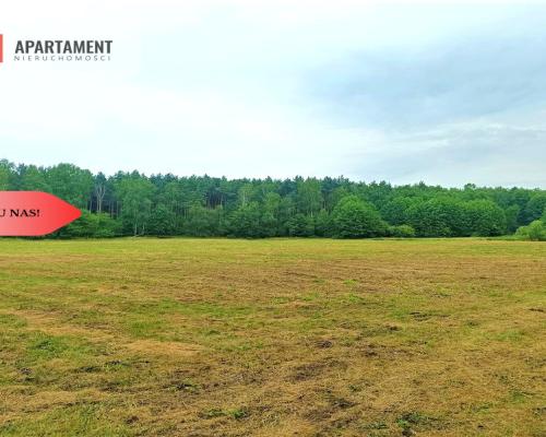 TYLKO U NAS - PAWŁÓWEK 1,8ha LAS CISZA SPOKÓJ