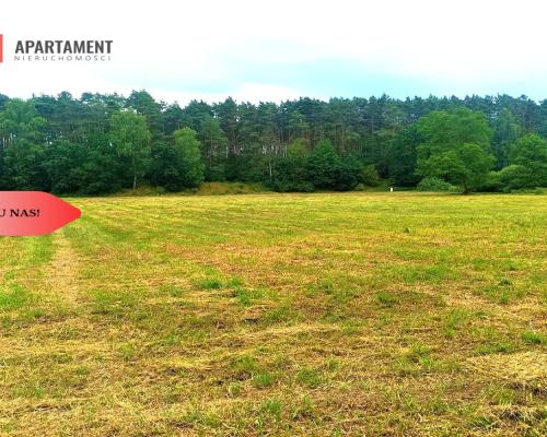 TYLKO U NAS - PAWŁÓWEK 1,8ha LAS CISZA SPOKÓJ