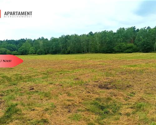 TYLKO U NAS - PAWŁÓWEK 1,8ha LAS CISZA SPOKÓJ