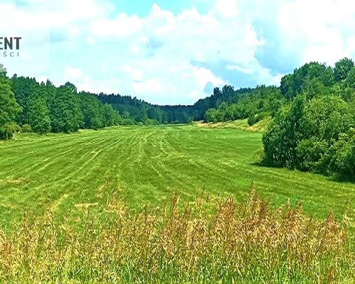 TYLKO U NAS - PAWŁÓWEK 1,8ha LAS CISZA SPOKÓJ