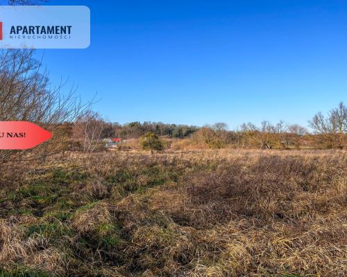 Tylko u nas! Działka 1,5ha, staw, pomost, WZ