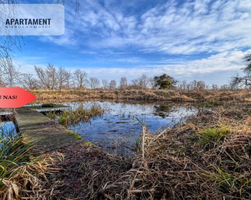 Tylko u nas! Działka 1,5ha, staw, pomost, WZ
