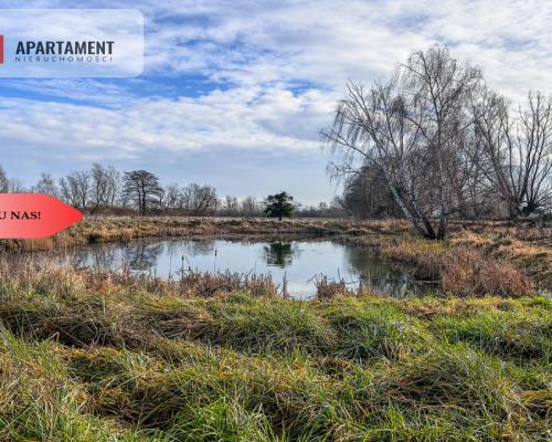Tylko u nas! Działka 1,5ha, staw, pomost, WZ
