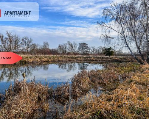 Tylko u nas! Działka 1,5ha, staw, pomost, WZ