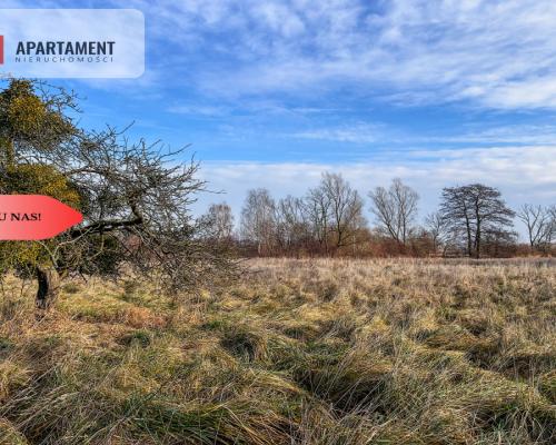 Tylko u nas! Działka 1,5ha, staw, pomost, WZ