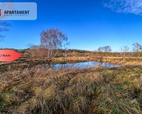 Tylko u nas! Działka 1,5ha, staw, pomost, WZ